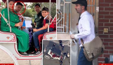 Horse carriage ban gains support following freak death of teen tourist