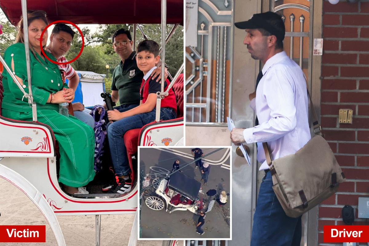 Horse carriage ban gains support following freak death of teen tourist