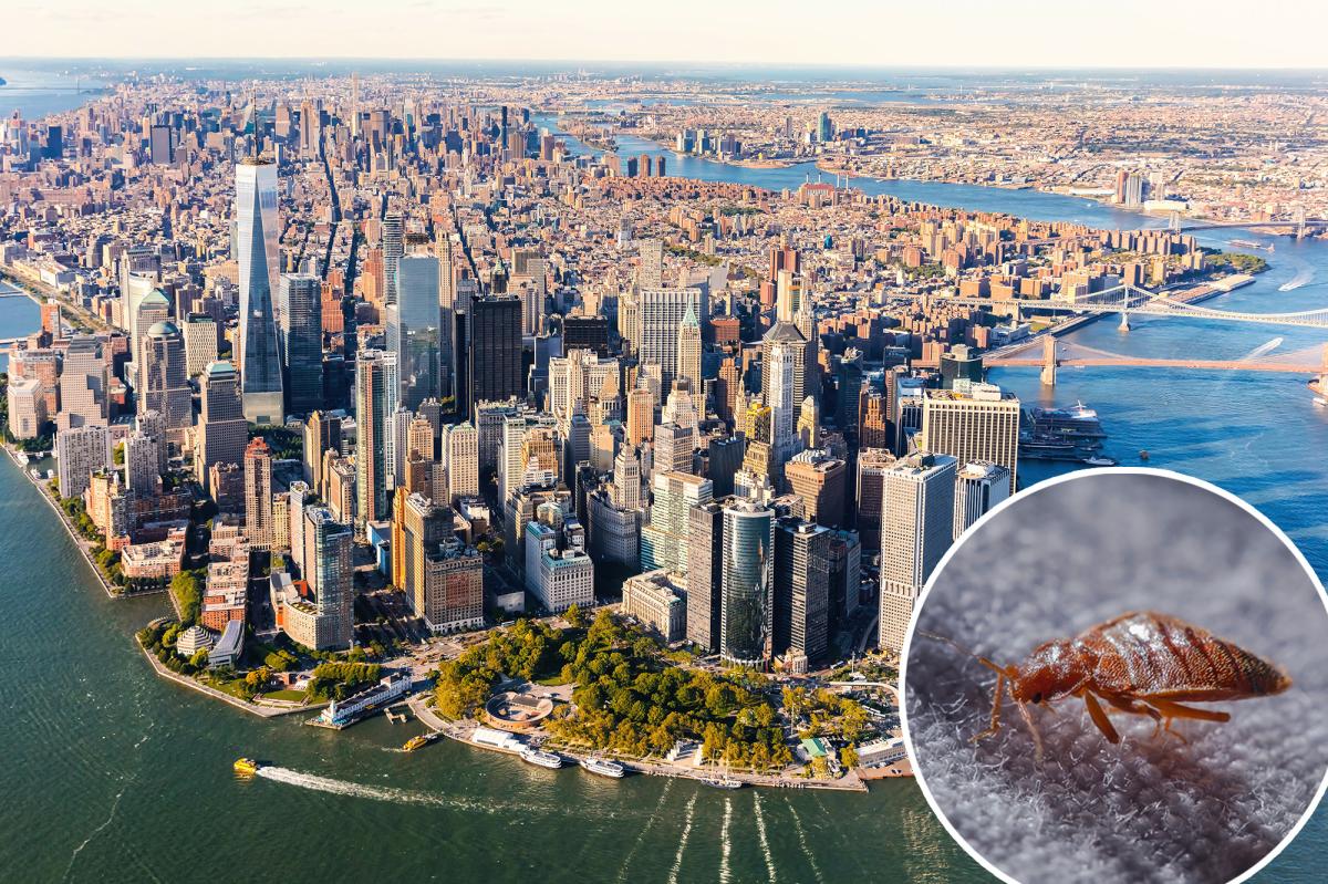 US states with highest bed bug risk revealed
