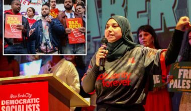 DSA backing eight NY candidates in effort to double ranks in government