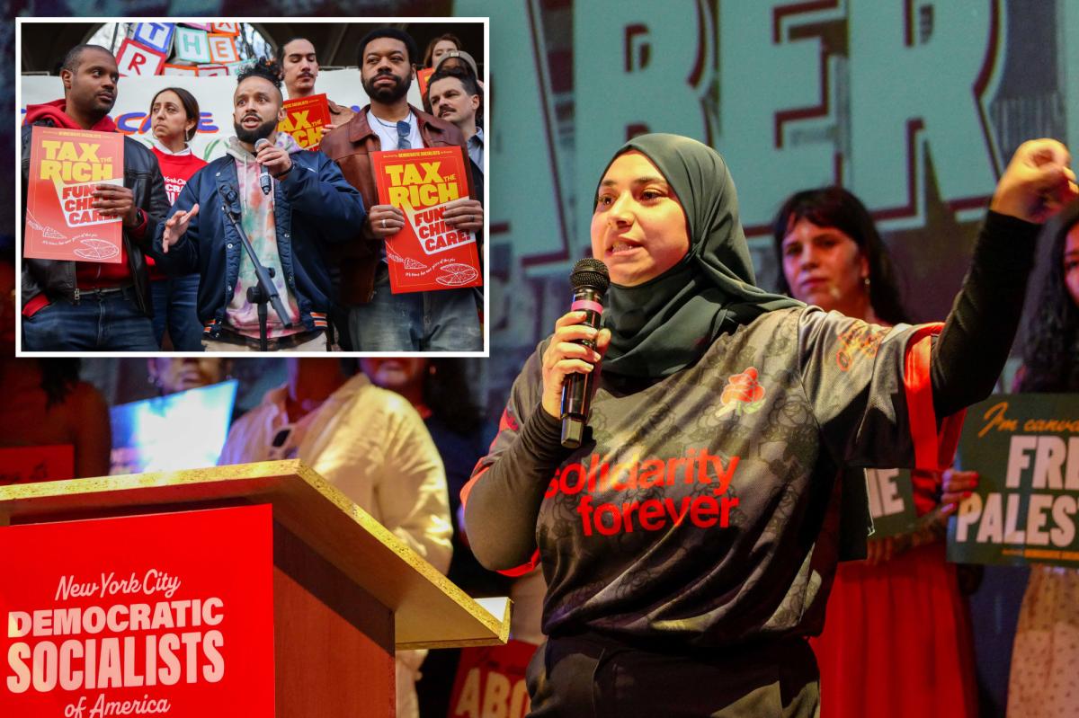 DSA backing eight NY candidates in effort to double ranks in government