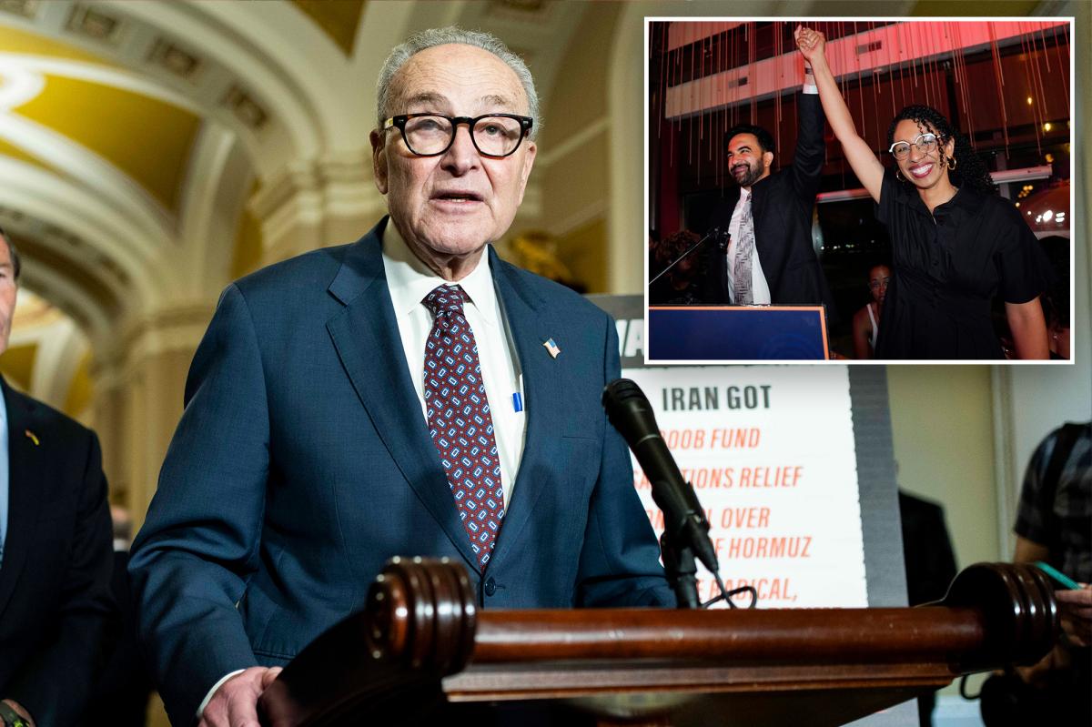 Chuck Schumer, Hakeem Jeffries shrug off Mamdani's NYC socialist sweep -- as 'normie' Dems erupt over 'wackjob' invasion