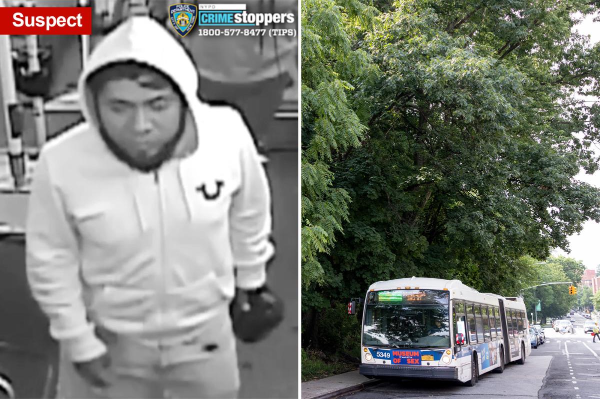 NYC neighborhood in fear after 13-year-old girl becomes latest victim of troubling local rape spike