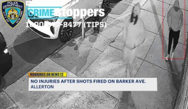 News 12 | Bronx | Trio Steal Over 71k Worth Of Property From Two Men At Gunpoint In Pelham Bay