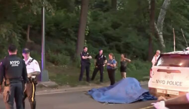 Carriage Horse Carrying 2 Passengers Collapses and Dies in N.Y.C.'s Central Park