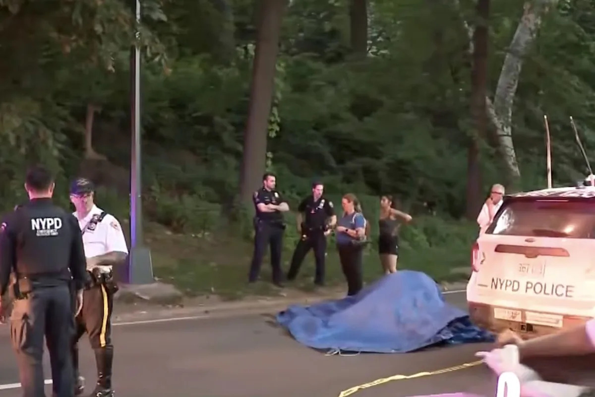 Carriage Horse Carrying 2 Passengers Collapses and Dies in N.Y.C.'s Central Park