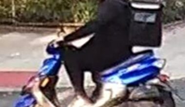 Police Appeal for Help Identifying Thief Sought in Bronx Jewelry Robbery Pattern