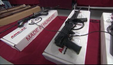 Assault Weapons