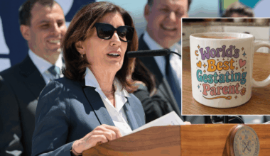 New York Democrats push to replace ‘mother’ with ‘gestating parent’ under inclusivity drive