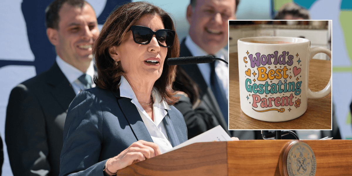 New York Democrats push to replace ‘mother’ with ‘gestating parent’ under inclusivity drive