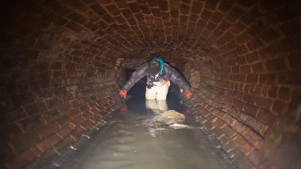 What it's like to go inside New York City's dank, dangerous, bug-filled sewers