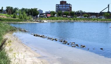 See Pictures of the New Tiny Beach That Just Opened in Brooklyn