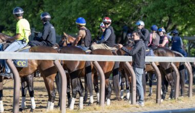 Manhattan Stakes a highlight of Belmont Stakes Day at Saratoga track