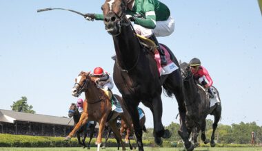 HORSE RACING: Deterministic looks to double down in G1 Manhattan – Saratogian