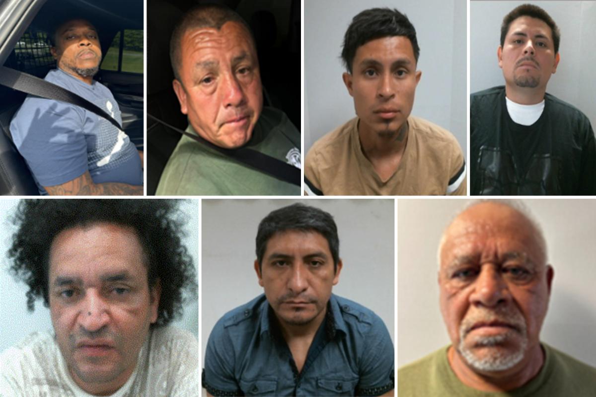 ICE blasts 'reckless' Mamdani, Hochul as agency IDs criminal illegal migrants picked up in NY