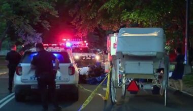 Carriage horse collapses and dies in Central Park