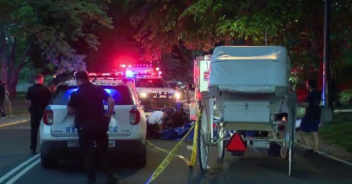 Carriage horse collapses and dies in Central Park