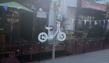 Regan Cole-Graham ghost bike stolen from Playa del Rey, and errant driver kills woman inside Manhattan Beach laundromat