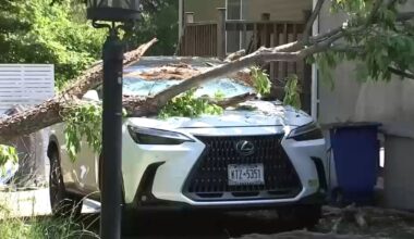 Long Island storm damage: Cleanup underway after severe weather causes power outages, fires, downed trees