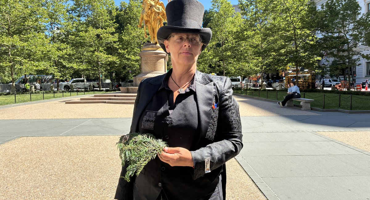 Central Park carriage horse died after eating toxic shrub, examination finds