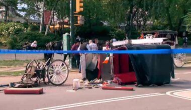 Central Park carriage horse gets loose, leaving 18-year-old man critically injured in NYC