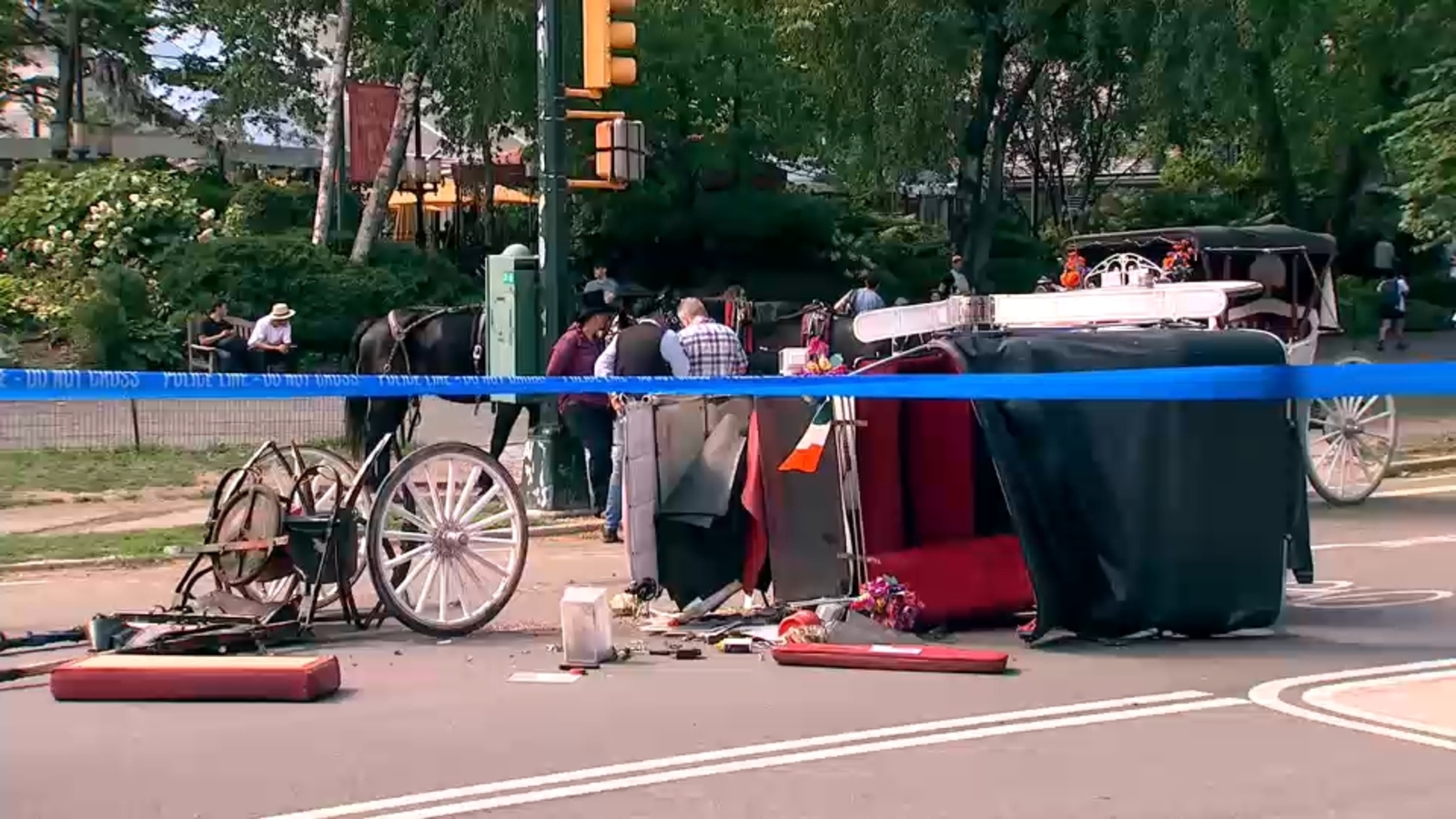 Central Park carriage horse gets loose, leaving 18-year-old man critically injured in NYC