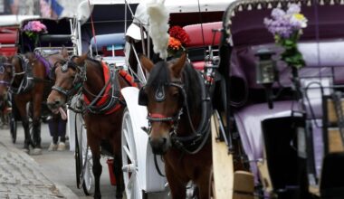 Teenager dies after being thrown from horse-drawn carriage in NYC's Central Park