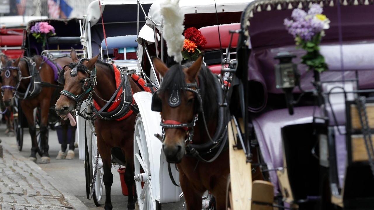 Teenager dies after being thrown from horse-drawn carriage in NYC's Central Park
