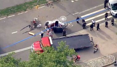 Tourist, 18, dies after horse-drawn carriage crash in NYC's Central Park