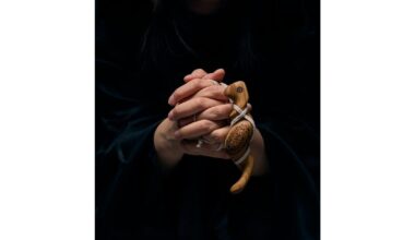 New York Art Life Magazine to Publish Feature Interview with Brooklyn Jeweler Ali Vedad Yuner This Week