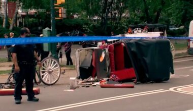 Horse-drawn carriage rides in New York on hold after teen tourist's death