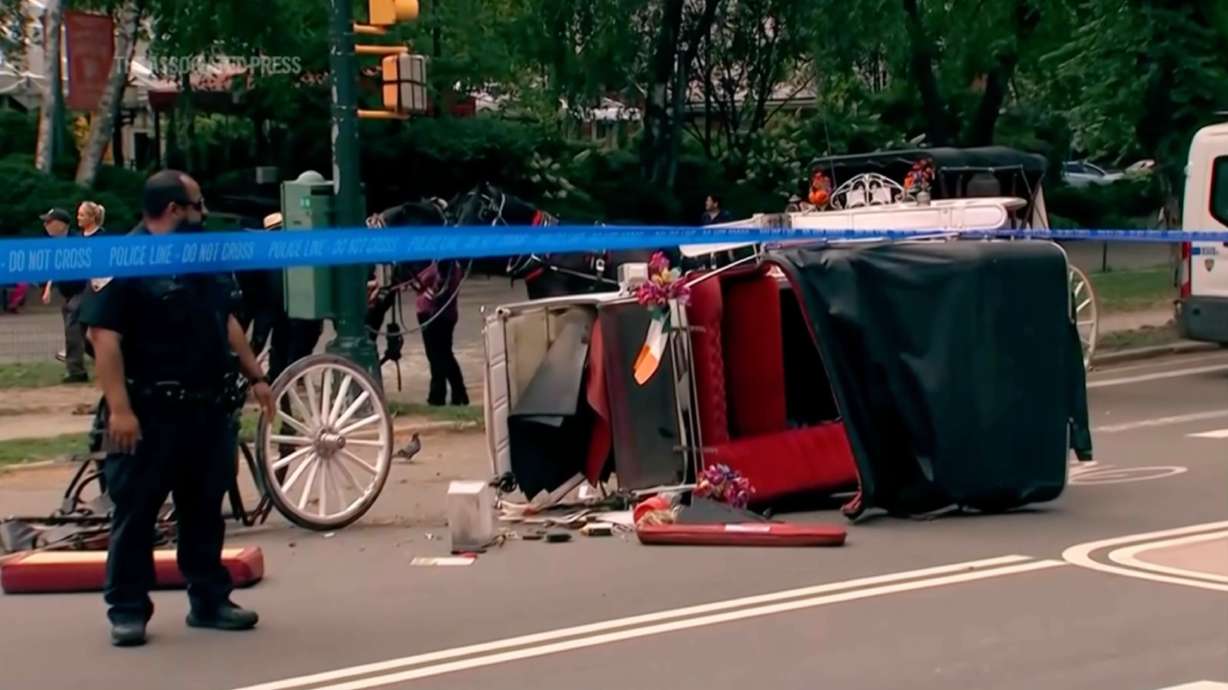 Horse-drawn carriage rides in New York on hold after teen tourist's death