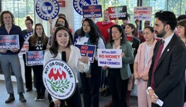 Pro-Palestinian legislation earns support from upstate Dems running in GOP-held seats