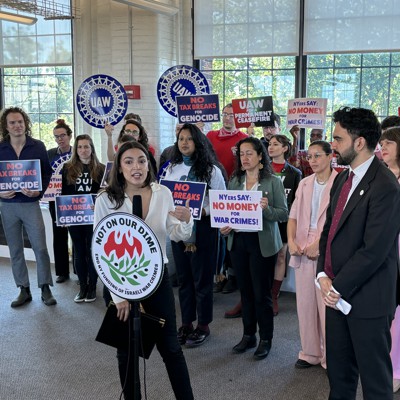 Pro-Palestinian legislation earns support from upstate Dems running in GOP-held seats