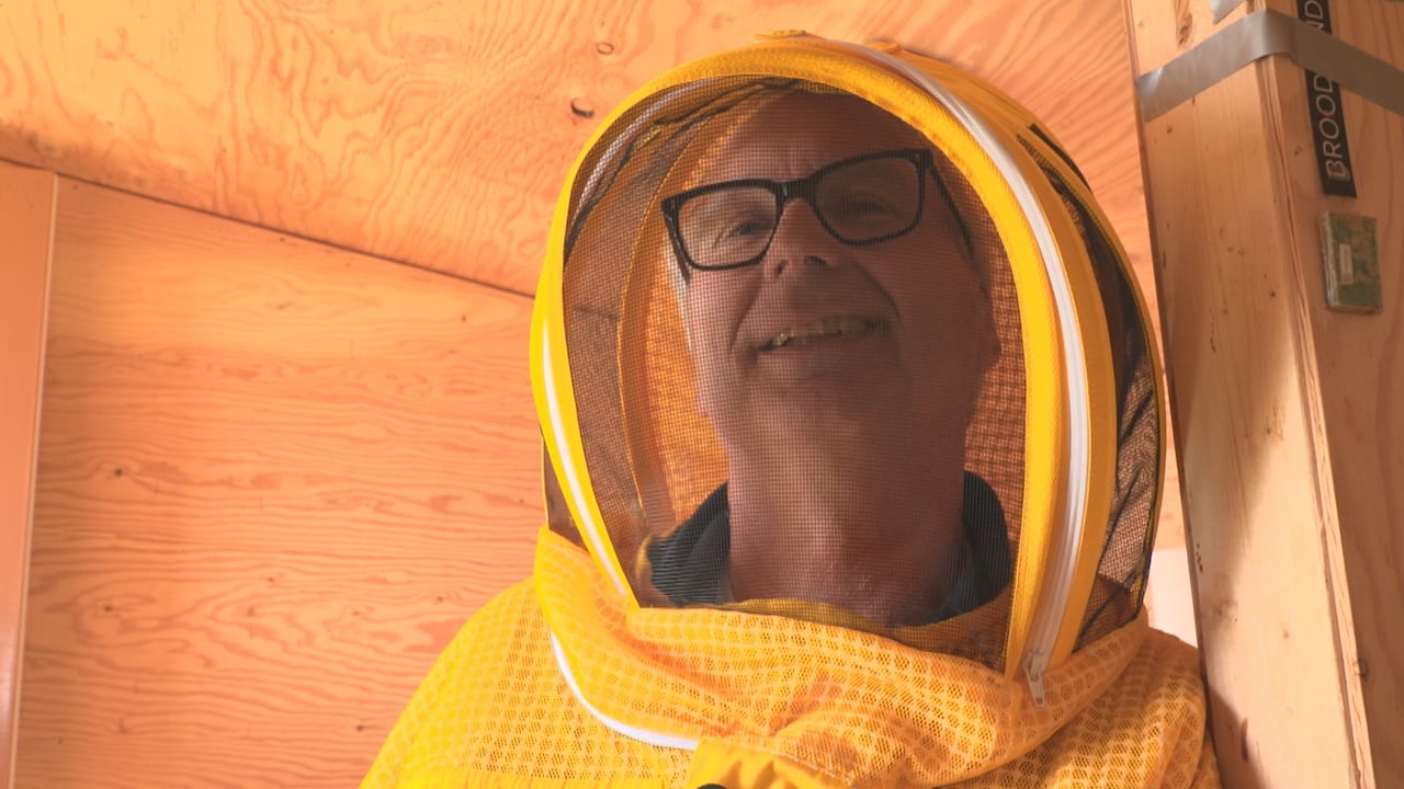 A man in an apiary.
