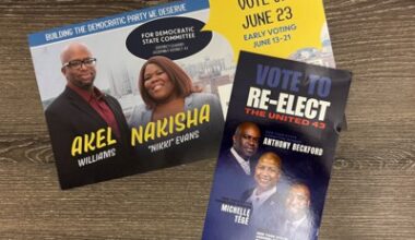 Reformers clinch a majority of Brooklyn DL seats, threatening Rodneyse Bichotte Hermelyn’s power