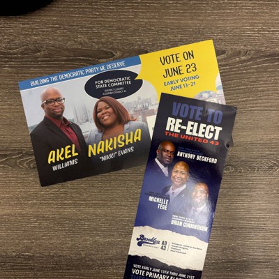 Reformers clinch a majority of Brooklyn DL seats, threatening Rodneyse Bichotte Hermelyn’s power