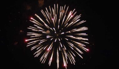 Bronx fireworks extravaganza celebrates new Orchard Beach pavilion  – Bronx Times