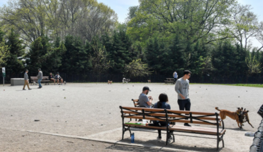 Man dead, another critical after double stabbing at Brooklyn park: NYPD