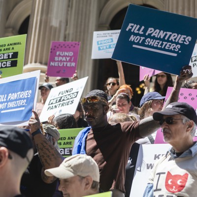 Opinion: How the City Council can help keep people and pets together