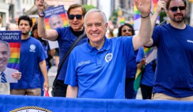 DiNapoli’s first primary challenge put statewide public financing to the test