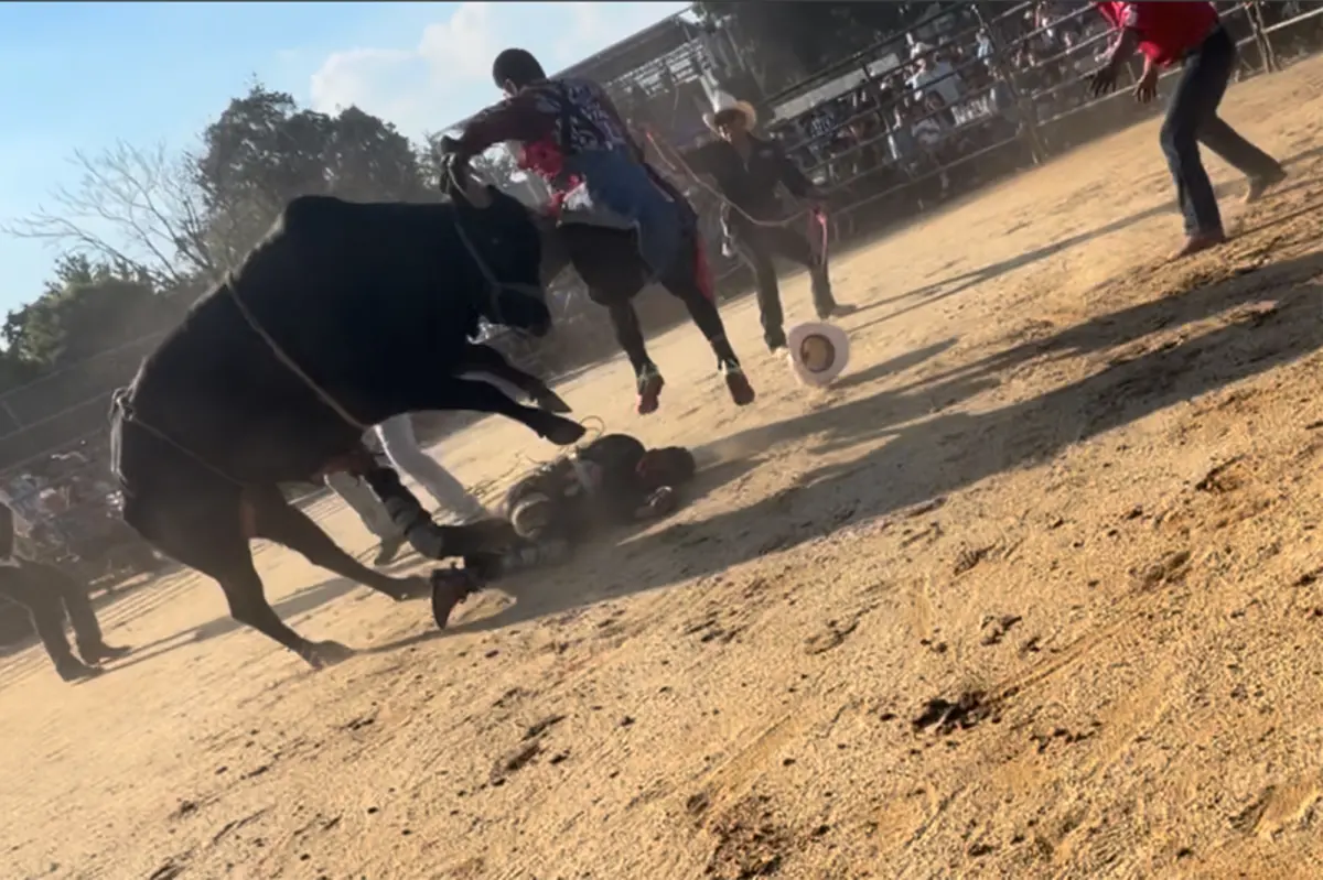 Bronx rodeo where rider was hurled from bull and trampled on didn't have permit: report