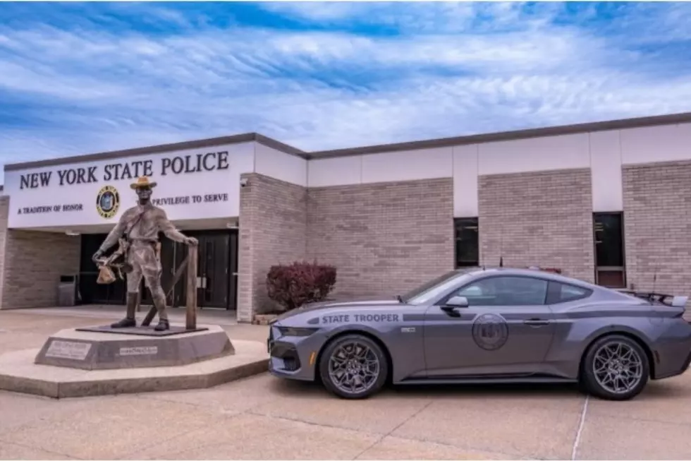 New York State Police Mustang