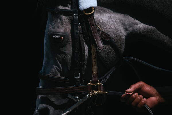 A handler walks a horse at Aqueduct Racetrack in the Queens borough of New York, Sunday, June 28, 2026. (AP Photo/Andres Kudacki)