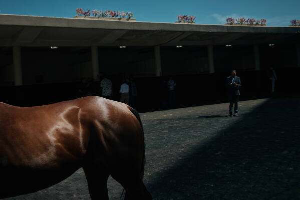 A handler, unseen, walks his horse before a race during the closing day at Aqueduct Racetrack in the Queens borough of New York, Sunday, June 28, 2026. (AP Photo/Andres Kudacki)