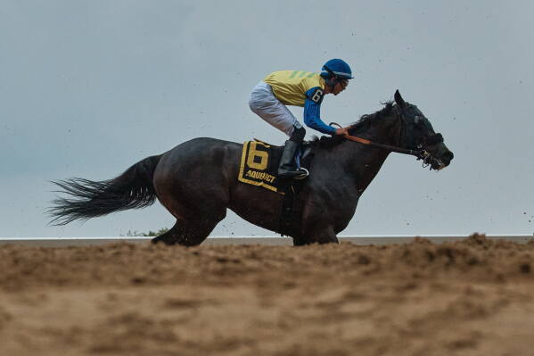 Jockey Omar Hernandez Moreno races on horse Neuschwanstein at Aqueduct Racetrack on Saturday, June 27, 2026, in New York. (AP Photo/Andres Kudacki)