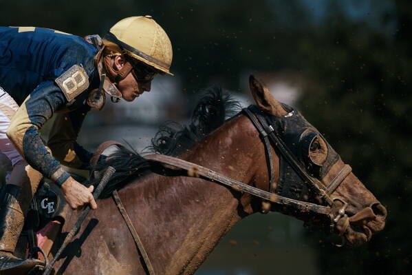 Jockey Christopher Elliott guides his horse Run Quiet Run Fast during a race on closing day at Aqueduct Racetrack in the Queens borough of New York, Sunday, June 28, 2026. (AP Photo/Andres Kudacki)