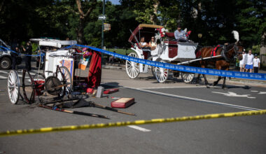 Man Dies in Fall From Horse Carriage in Central Park