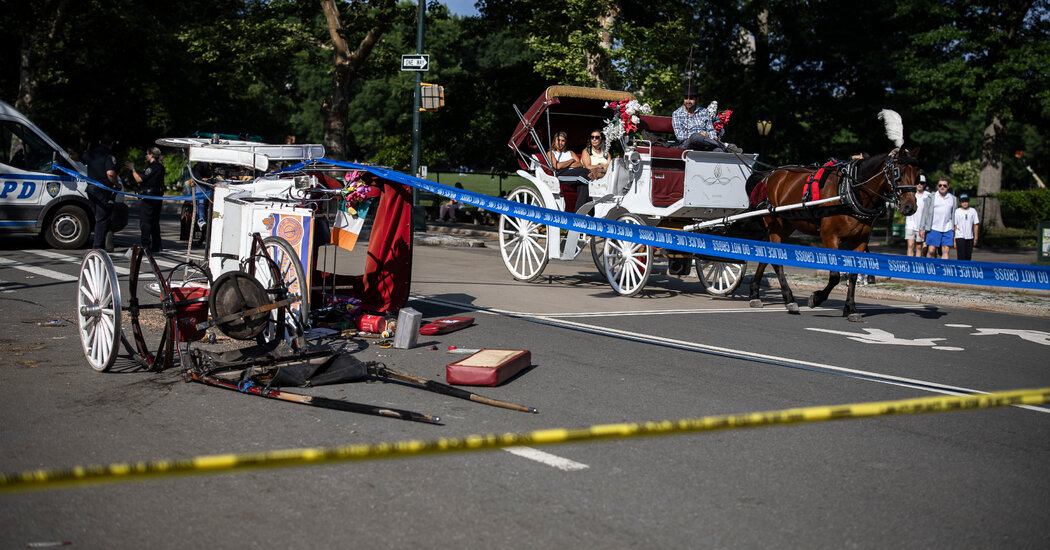 Man Dies in Fall From Horse Carriage in Central Park