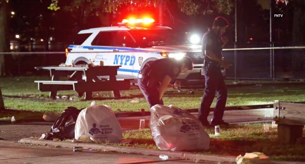 Two police officers investigate a park at night, with a patrol car and picnic table behind them.